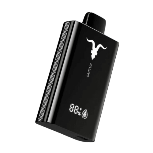 Ignite - V120 12000 Puffs